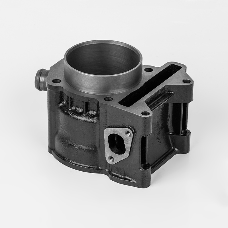 JN250/300 (Φ72/75) cilindru durabil din fontă